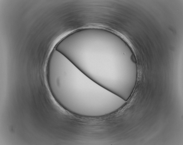 X0000115641003200911101052