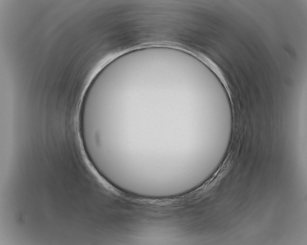 X0000115641005200911101052