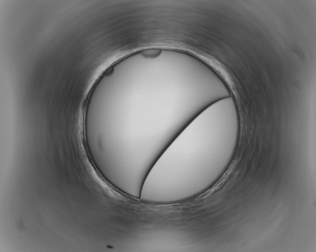 X0000115641006200911101052