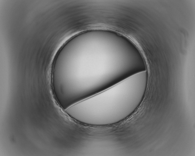X0000115641008200911101052