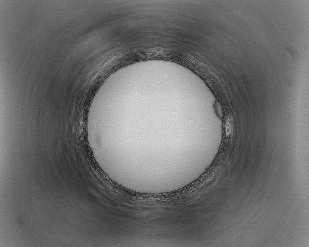 X0000115641011200911101051
