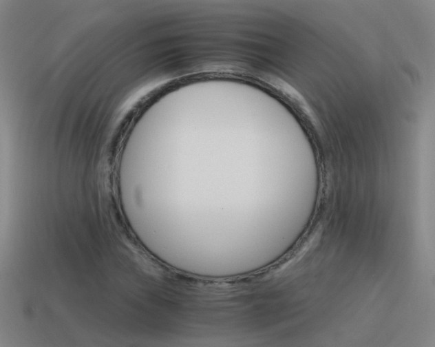 X0000115641019200911101051