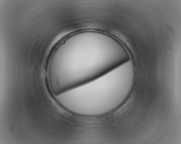 X0000115641024200911101051