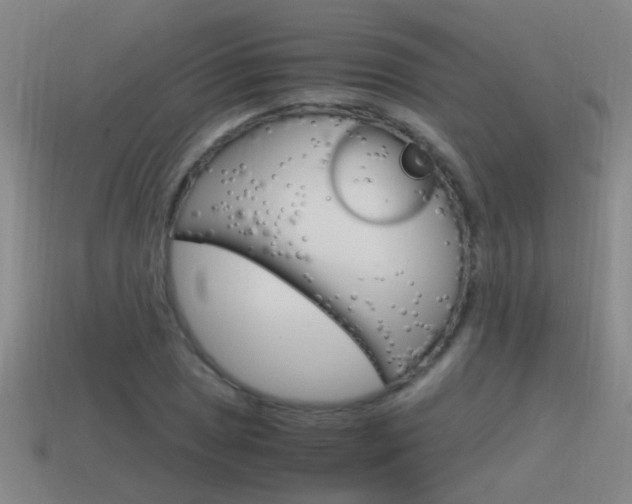 X0000115641025200911101051