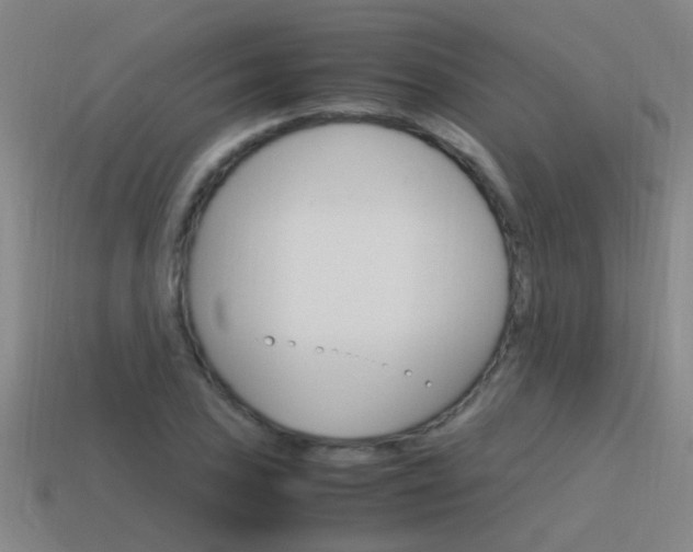 X0000115641027200911101051