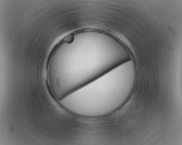 X0000115641028200911101051