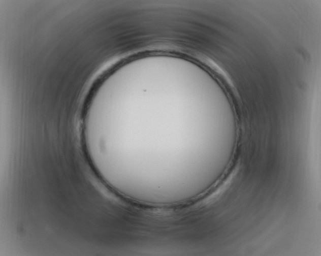 X0000115641029200911101051