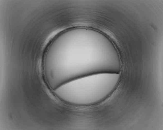 X0000115641030200911101051