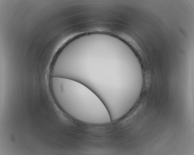 X0000115641031200911101051