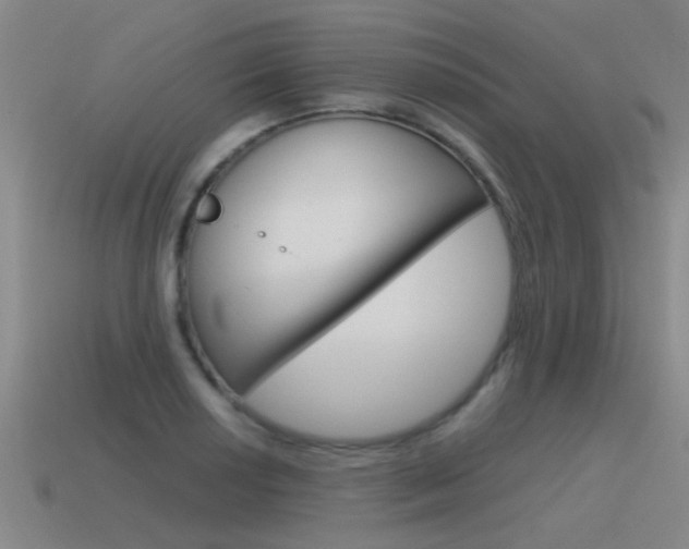 X0000115641034200911101051