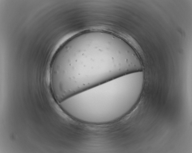 X0000115641036200911101051