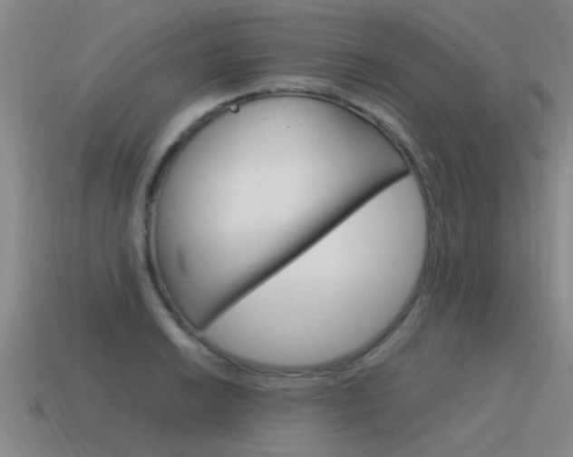 X0000115641038200911101051