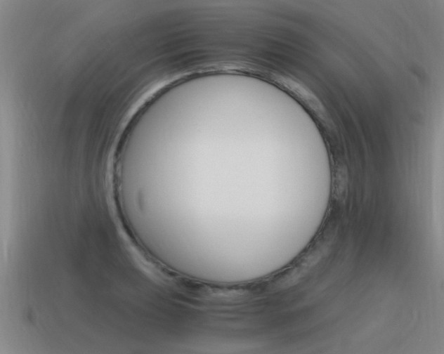 X0000115641039200911101051