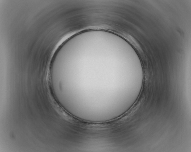 X0000115641044200911101052