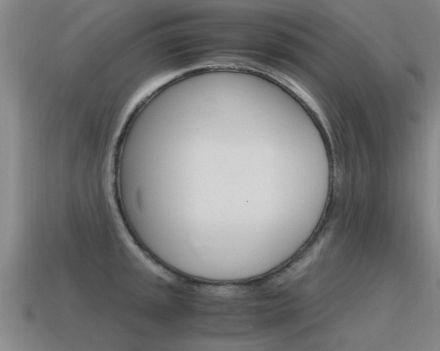 X0000115641045200911101052