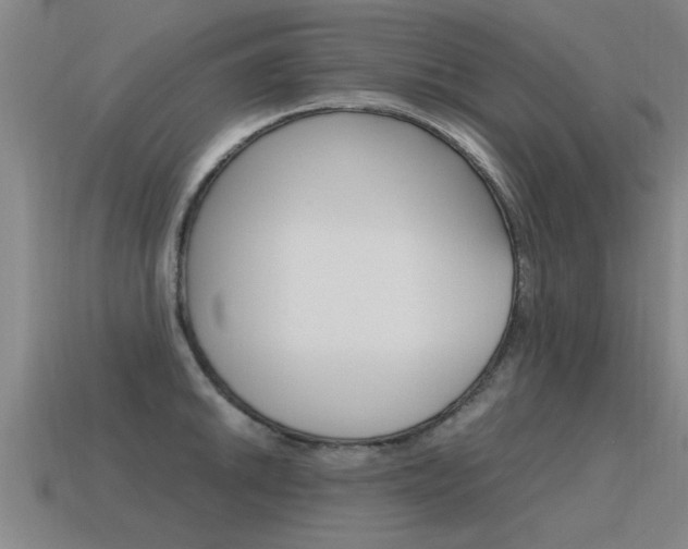 X0000115641046200911101052