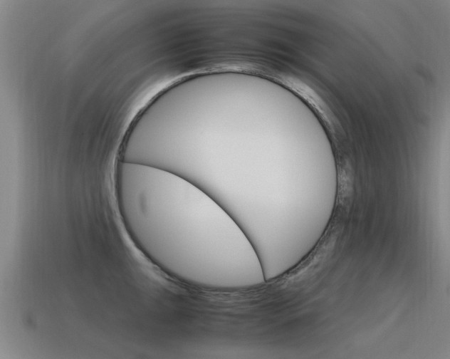 X0000115641047200911101052