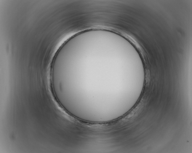 X0000115641048200911101052