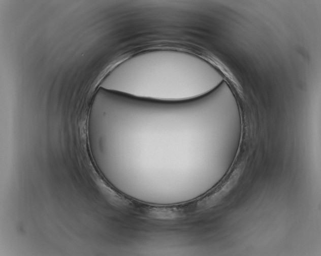 X0000115641049200911101052