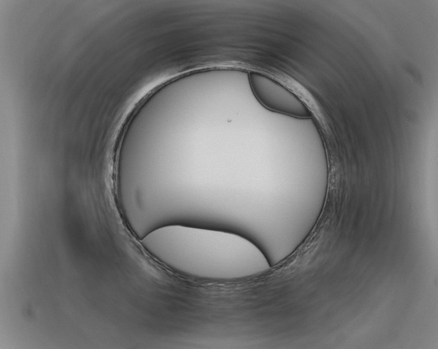 X0000115641051200911101052