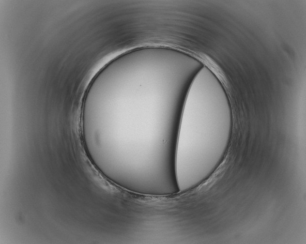 X0000115641052200911101052