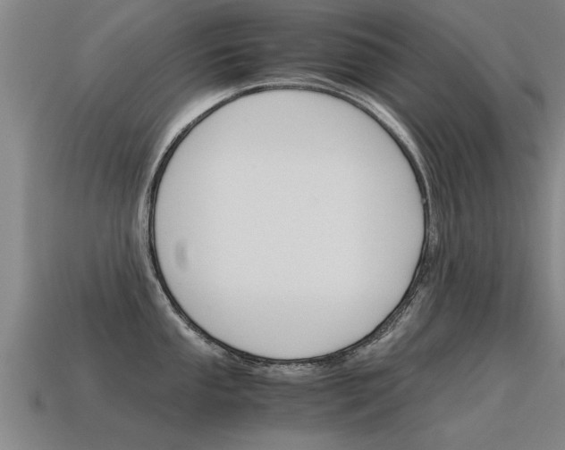 X0000115641053200911101052