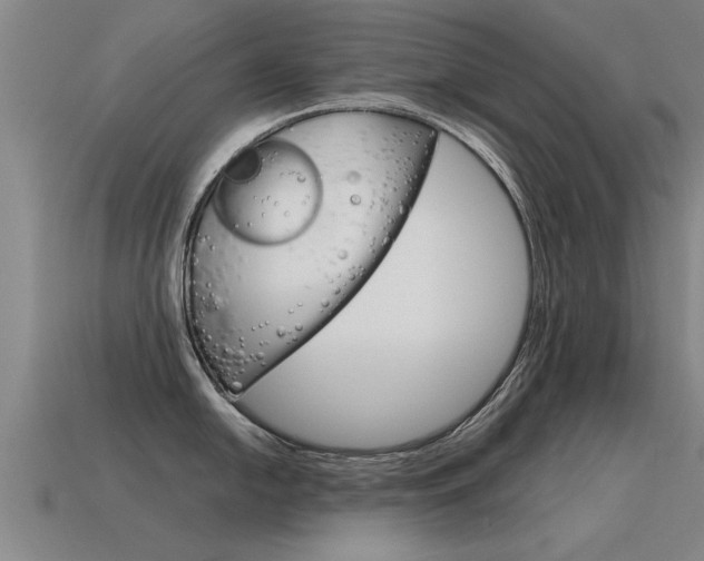 X0000115641054200911101052