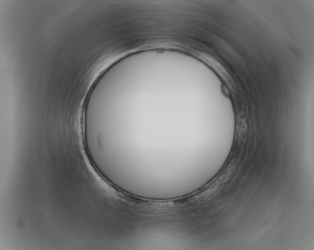 X0000115641055200911101052