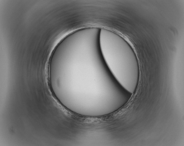 X0000115641056200911101052
