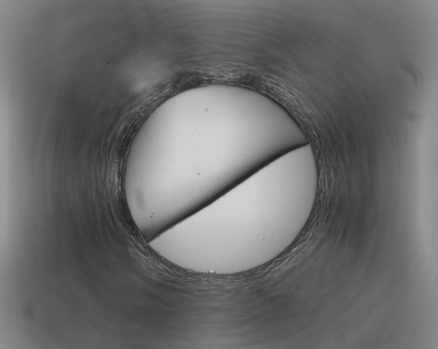 X0000115641058200911101051