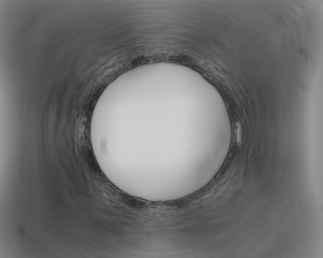 X0000115641059200911101051