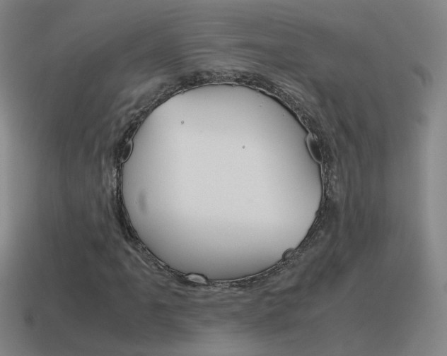 X0000115641061200911101051