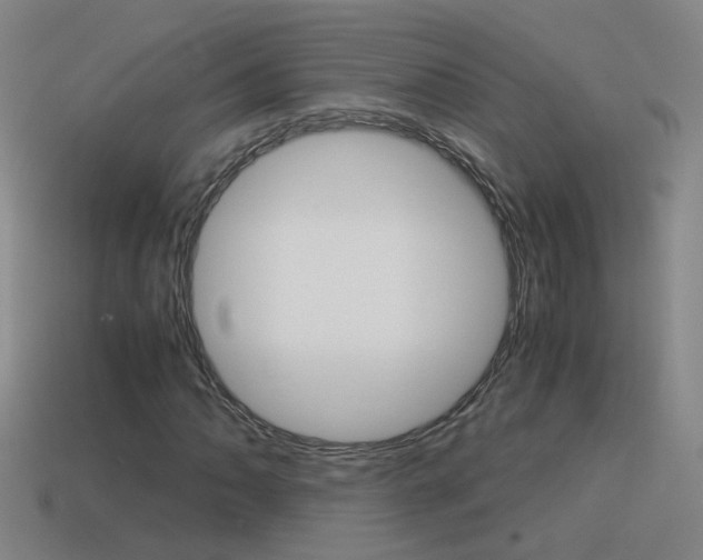 X0000115641062200911101051