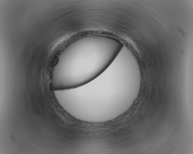 X0000115641064200911101051
