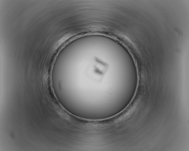 X0000115641065200911101051