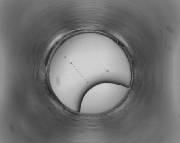 X0000115641067200911101051