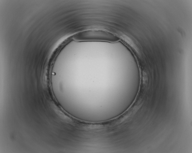 X0000115641068200911101051