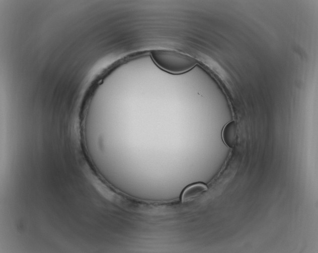 X0000115641072200911101051