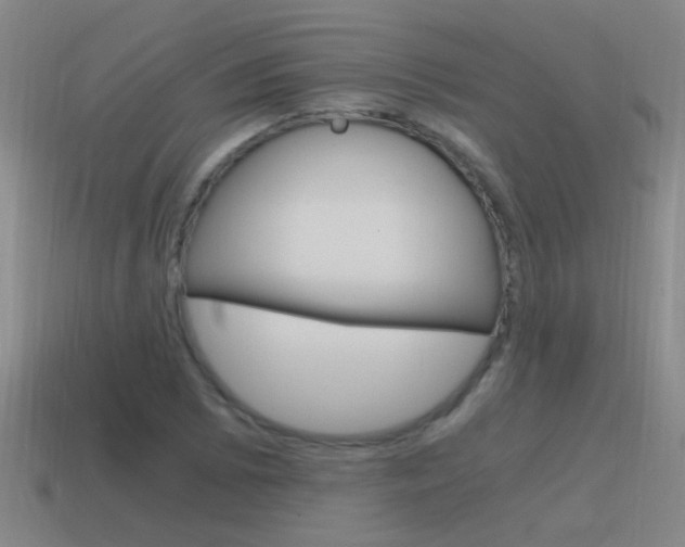 X0000115641073200911101051