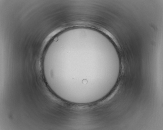 X0000115641074200911101051