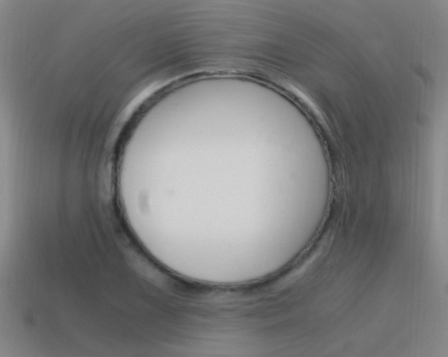 X0000115641075200911101051