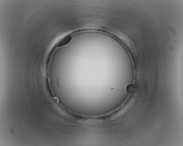X0000115641077200911101051