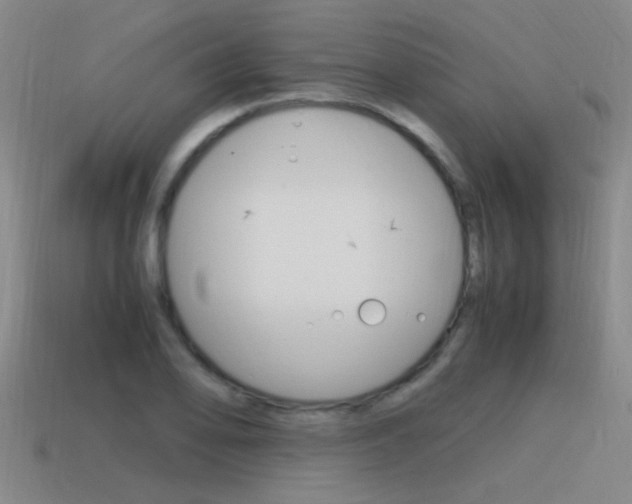 X0000115641078200911101051