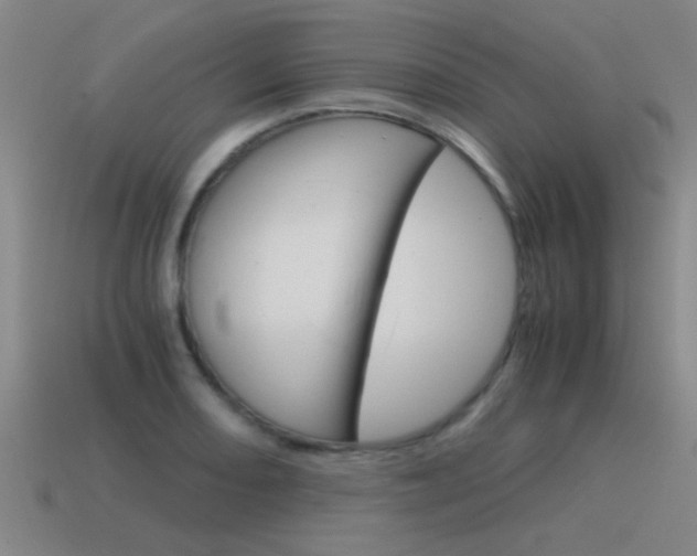 X0000115641082200911101051