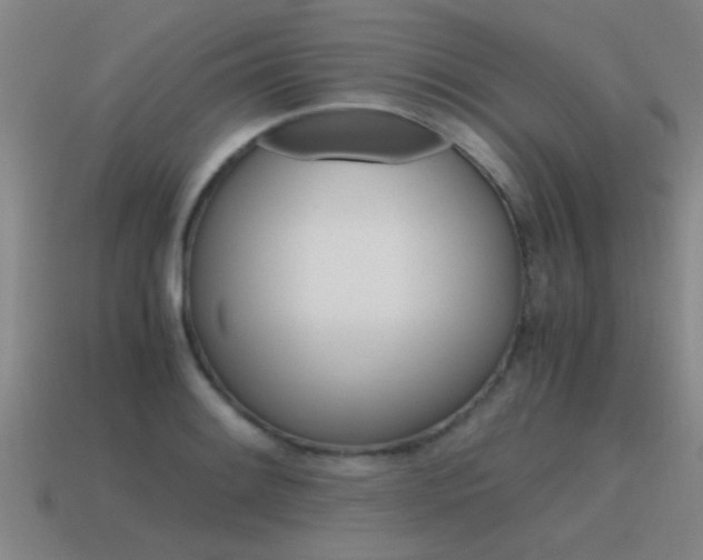 X0000115641084200911101051