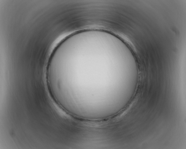 X0000115641086200911101051