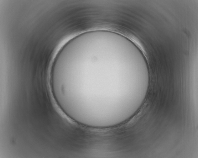 X0000115641088200911101051