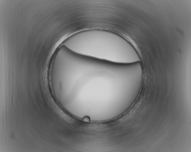 X0000115641091200911101051