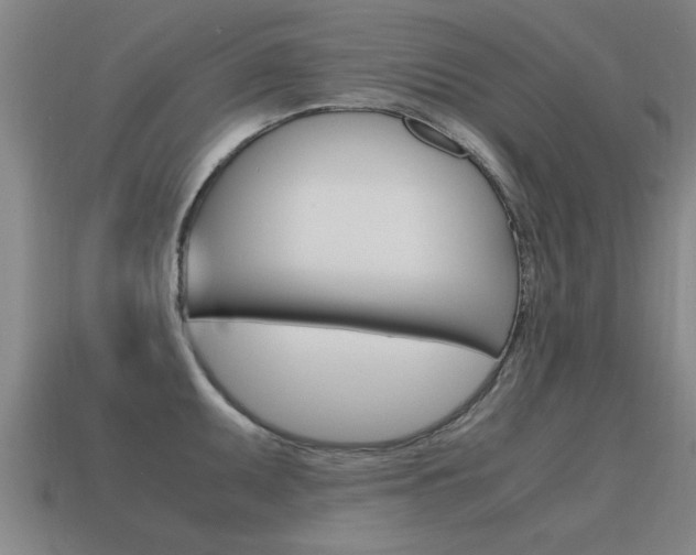 X0000115641095200911101051