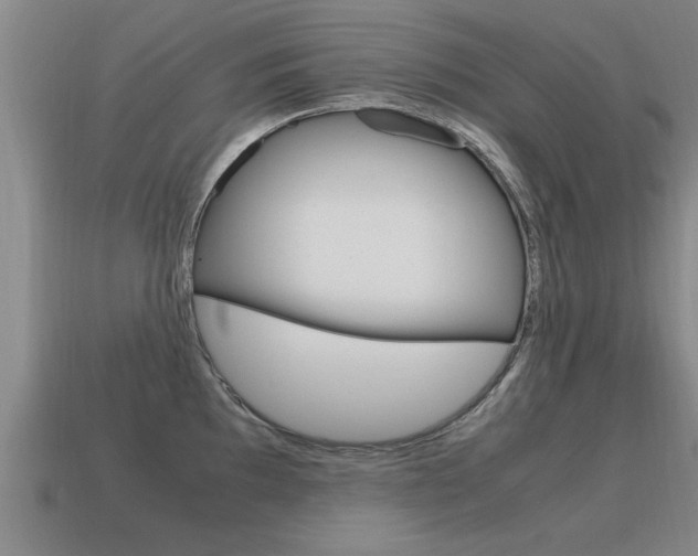 X0000115641097200911101051